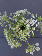 Wazon Ceramiczny Oak 12 cm
